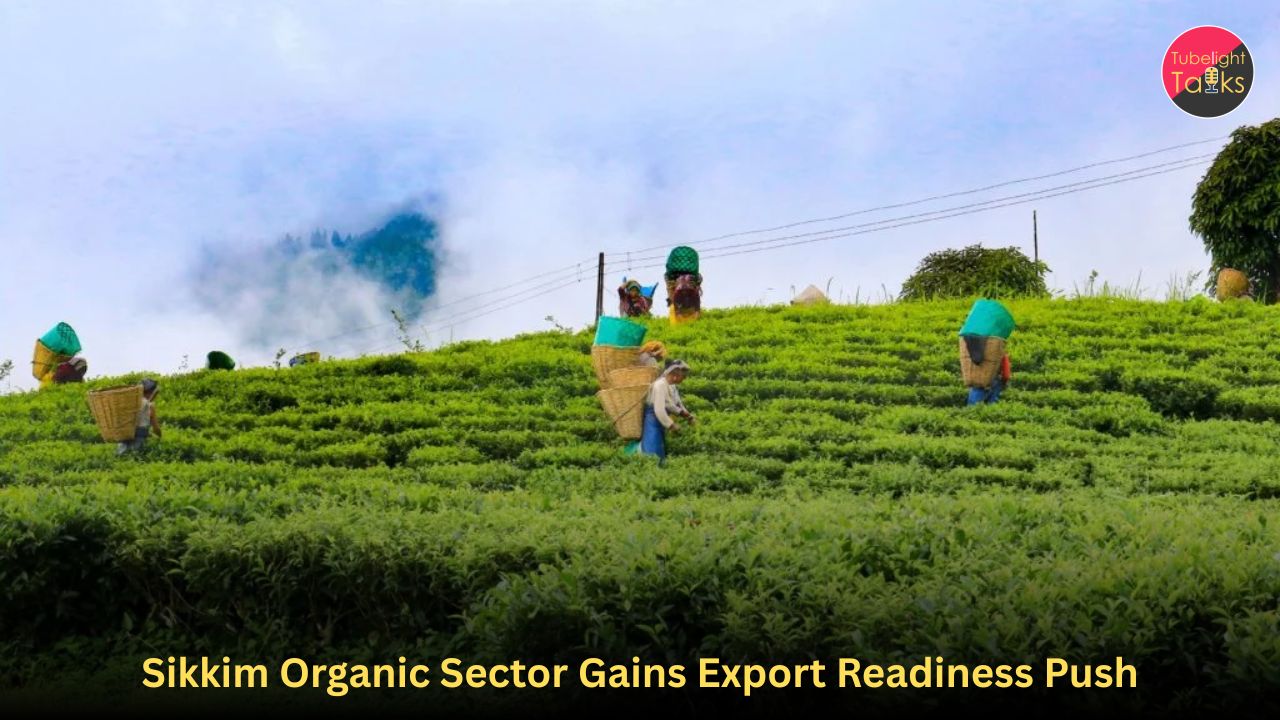 Sikkim Organic Sector Gains Export Readiness Push