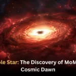 Black Hole Star The Discovery of MoM-BH-1 at Cosmic Dawn