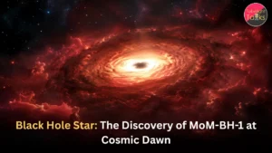 Black Hole Star The Discovery of MoM-BH-1 at Cosmic Dawn