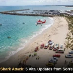 Emergency services responding to a suspected shark attack at Sorrento Beach near Hillarys Boat Harbour