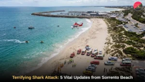 Emergency services responding to a suspected shark attack at Sorrento Beach near Hillarys Boat Harbour